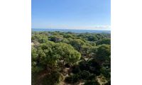  Nouvelle construction - Appartement - Guardamar del Segura - CENTRO