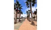  Nouvelle construction - Penthouse - Orihuela Costa - Lomas de Cabo Roig