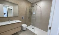  Nouvelle construction - Ville  - Almoradi - Heredades