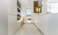  Nouvelle construction - Ville  - Los Montesinos - La herrada