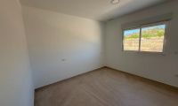  Nouvelle construction - Ville  - Pinoso - Camino Del Prado