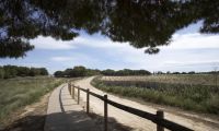  Nouvelle construction - Ville  - Torrevieja - Sector 25