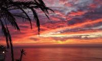 Nybygg - Bungalow  - Torrevieja - Altos del Sol