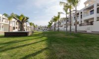 Nybygg - Bungalow  - Torrevieja - Los Balcones