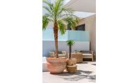 Nybygg - Town House - Dolores - Sector 3