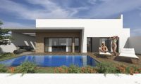 Nybygg - Villa - Torrevieja - Sector 25