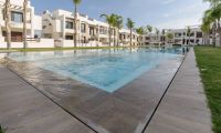 Obra Nueva - Bungalow - Torrevieja - Los Balcones
