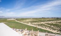 Obra Nueva - Villa - Algorfa - La finca golf