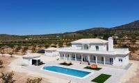 Obra Nueva - Villa - Pinoso - Camino Del Prado