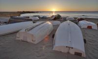 Obra Nueva - Villa - Torrevieja - Sector 25