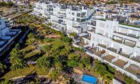 Resale - Penthouse - Torrevieja - La Ciñuela
