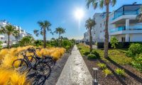 Resale - Penthouse - Torrevieja - La Ciñuela